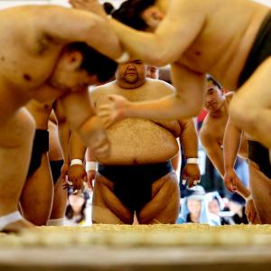 When Sumo Wrestlers Wrestle
