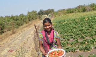 Maharashtra farmers seek better pricing for produce