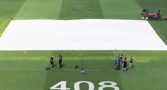 The pitch will have something for everybody, says Adelaide curator
