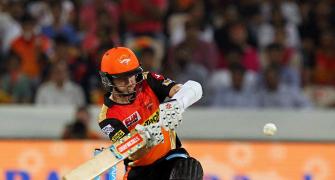 Classy Williamson stands out amid IPL binge-hitting