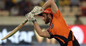 There is apprehension: Williamson ahead of IPL