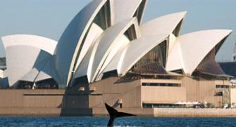 Study abroad: Work after studies in Australia
