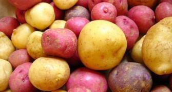 Potato talk: From health benefits to recipes!