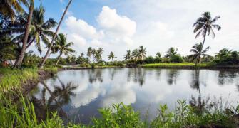 What's so magical about this tiny island in Kerala?