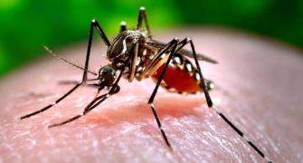Should you buy a dengue health insurance plan?