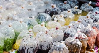 How are you dealing with the plastic ban? Tell us
