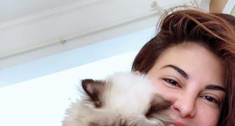 Have you met Jacqueline and Alia's cats?