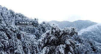 Pics: 10 reasons why you must visit Himachal in winter, not summer!