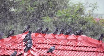 Monsoon pix: Look who's having fun!