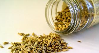 Can fennel seeds help you lose weight?