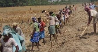 Why NREGA workers got Re 1 per day!
