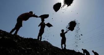 CIL proved to be government's big ticket for 2010