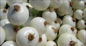 Onions: Take hoarders to task, govt tells states