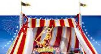 SC bans employment of children in circuses