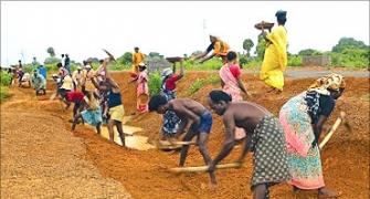 India's rural jobs scheme cuts spend, wants more cash