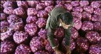 Onion prices crash in Delhi, Nashik