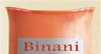 Binani to invest Rs 4,200 cr in Gujarat