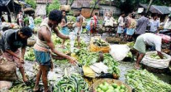 WPI inflation likely to be 8% in March