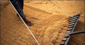 Food inflation declines sharply to 6.60%