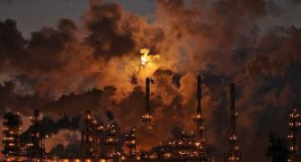 Delaying action on climate change will hurt growth: Global CEOs