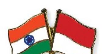India keen to scale up economic ties with Indonesia: Sharma