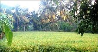 Bengal: New land policy favours small projects
