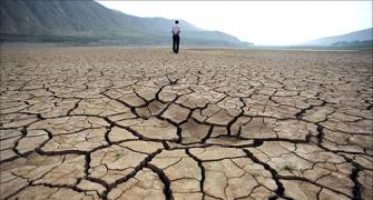 SC relief to drought-hit farmers; tells Centre to create fund for crises
