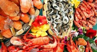 China to halt import of Indian seafood from June 1