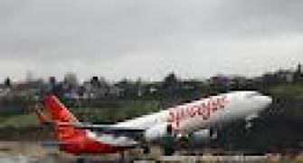 SpiceJet allots 4.29 cr shares to Maran
