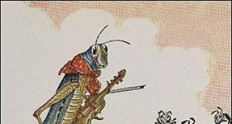 Foolish ant and intelligent grasshopper - 2012 version