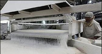 Govt allows free export of sugar in 2012-2013