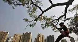 Realty sector welcomes more liquidity but wants rate cut