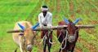 MGNREGA work days increased, relief on crop loans