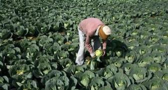Will final GST bill put farm goods on exempted list?