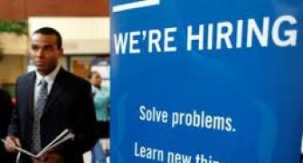 November sees moderate rise in hiring numbers: Job portal