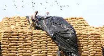 Govt to raise grain stock reserve