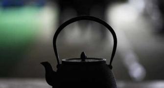 Harvard, IIT graduates are tea sellers, too
