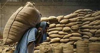 India needs extra Rs 20,000 cr for food security bill