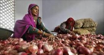 Congress's politics over onions makes the public cry