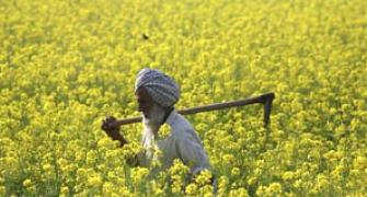 Open to making more changes in land bill: Govt