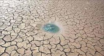 El Nino possibility: Experts say no pressing panic button yet