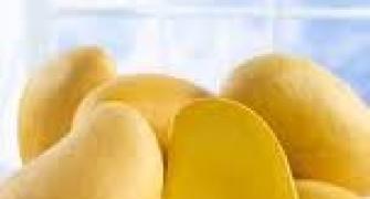 House of Commons to discuss EU mango ban crisis