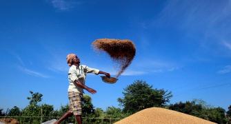 The trouble with agricultural start-ups