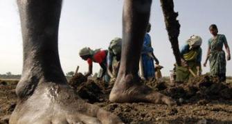 50 days extra work under MGNREGA for drought-hit areas: Govt