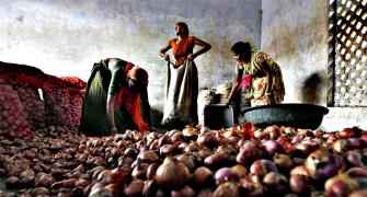 90 tonnes of Egyptian onions arrive in mandis