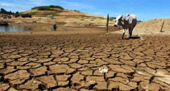 US-India bonhomie missing on climate change