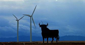 'In 5 years, India will become a major wind energy hub'