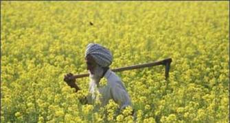 Guarantee income, don't give out doles, please: Farmers