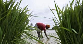 Father of Green Revolution on what Modi must do to revive farming