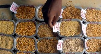 'No state should sell pulses at more than Rs 120/kg'